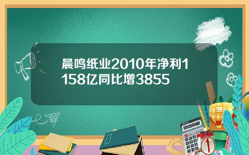 晨鸣纸业2010年净利1158亿同比增3855