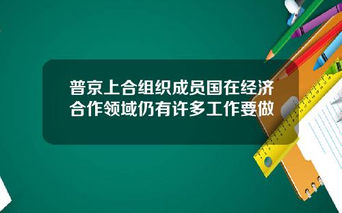 普京上合组织成员国在经济合作领域仍有许多工作要做