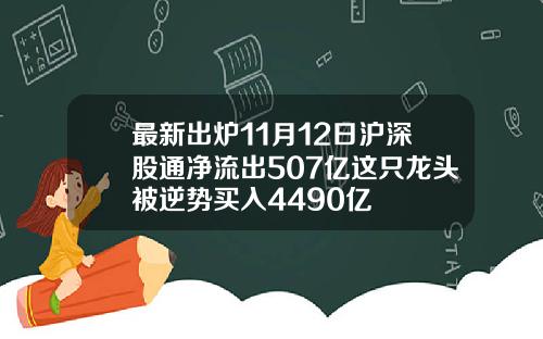 最新出炉11月12日沪深股通净流出507亿这只龙头被逆势买入4490亿