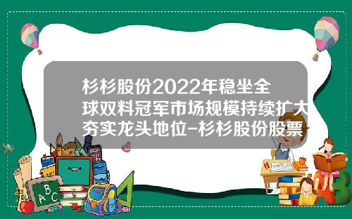 杉杉股份2022年稳坐全球双料冠军市场规模持续扩大夯实龙头地位-杉杉股份股票重要资讯