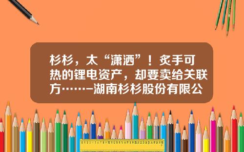 杉杉，太“潇洒”！炙手可热的锂电资产，却要卖给关联方……-湖南杉杉股份有限公司