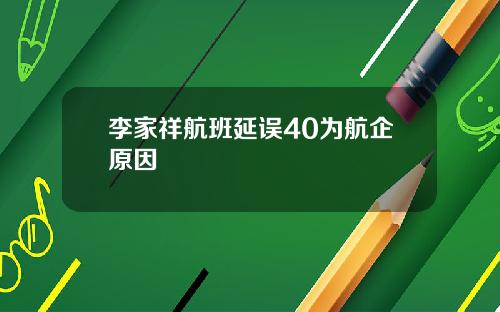 李家祥航班延误40为航企原因