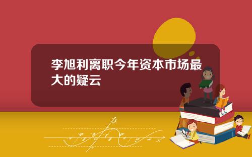 李旭利离职今年资本市场最大的疑云