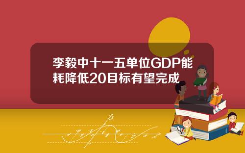 李毅中十一五单位GDP能耗降低20目标有望完成