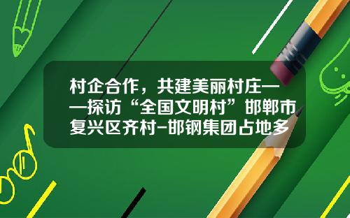 村企合作，共建美丽村庄——探访“全国文明村”邯郸市复兴区齐村-邯钢集团占地多少
