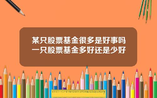 某只股票基金很多是好事吗一只股票基金多好还是少好