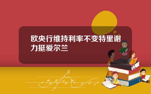 欧央行维持利率不变特里谢力挺爱尔兰