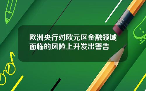 欧洲央行对欧元区金融领域面临的风险上升发出警告