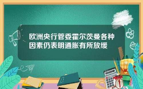 欧洲央行管委霍尔茨曼各种因素仍表明通胀有所放缓
