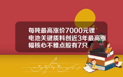 每吨最高涨价7000元锂电池关键质料创近3年最高涨幅核心不雅点股有7只