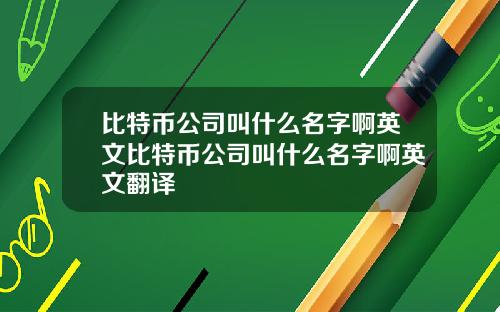 比特币公司叫什么名字啊英文比特币公司叫什么名字啊英文翻译