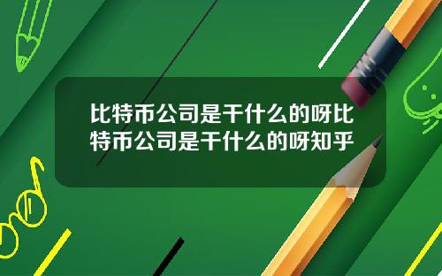比特币公司是干什么的呀比特币公司是干什么的呀知乎