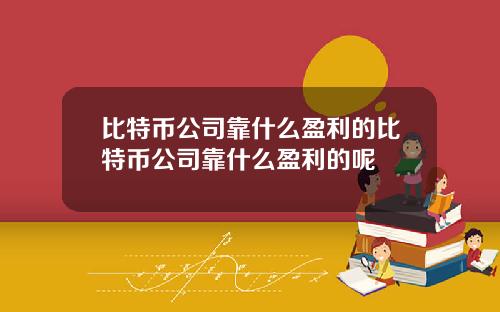 比特币公司靠什么盈利的比特币公司靠什么盈利的呢