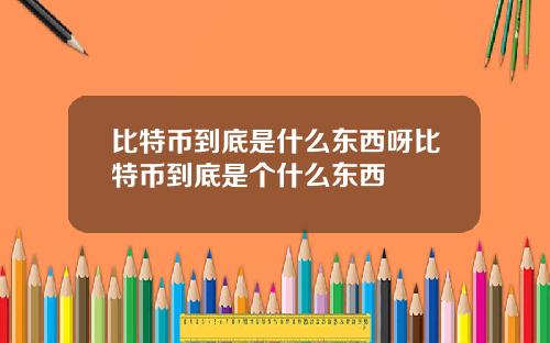 比特币到底是什么东西呀比特币到底是个什么东西