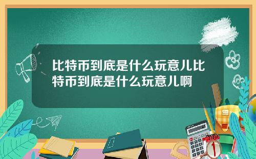 比特币到底是什么玩意儿比特币到底是什么玩意儿啊