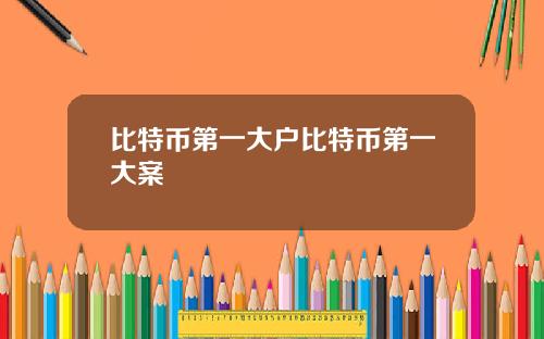 比特币第一大户比特币第一大案