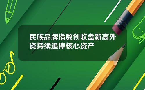 民族品牌指数创收盘新高外资持续追捧核心资产