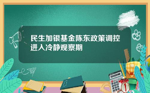 民生加银基金陈东政策调控进入冷静观察期