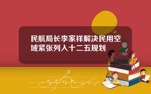 民航局长李家祥解决民用空域紧张列入十二五规划