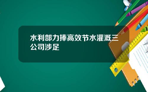 水利部力捧高效节水灌溉三公司涉足