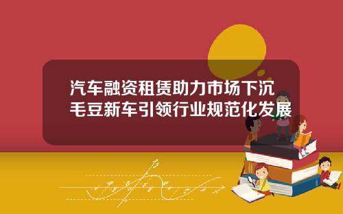 汽车融资租赁助力市场下沉毛豆新车引领行业规范化发展