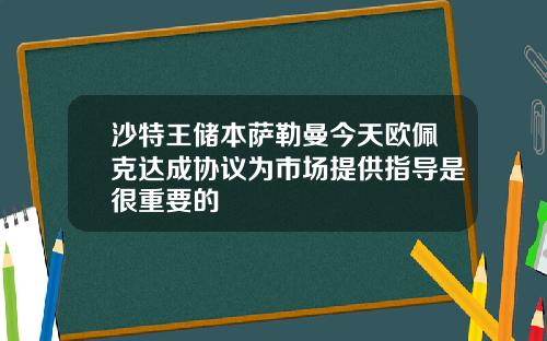 沙特王储本萨勒曼今天欧佩克达成协议为市场提供指导是很重要的