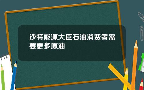 沙特能源大臣石油消费者需要更多原油