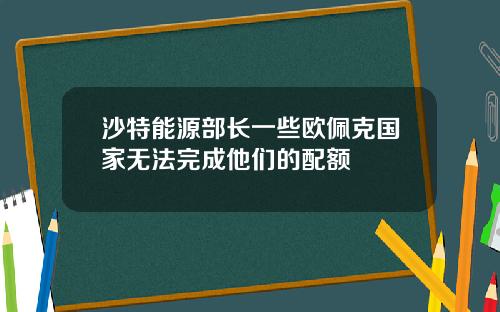 沙特能源部长一些欧佩克国家无法完成他们的配额