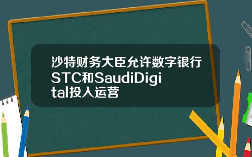 沙特财务大臣允许数字银行STC和SaudiDigital投入运营