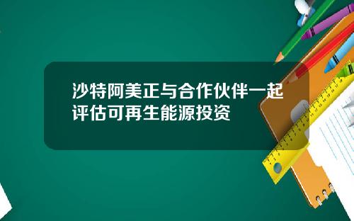 沙特阿美正与合作伙伴一起评估可再生能源投资