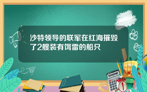 沙特领导的联军在红海摧毁了2艘装有饵雷的船只