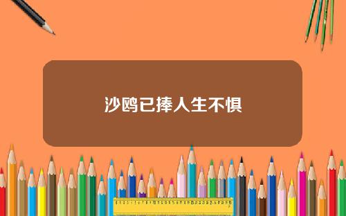 沙鸥已捧人生不惧