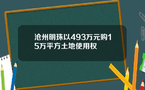 沧州明珠以493万元购15万平方土地使用权