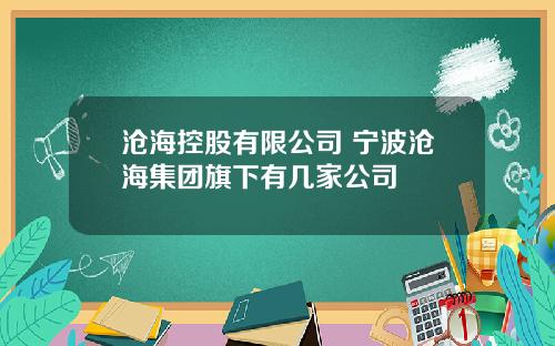 沧海控股有限公司 宁波沧海集团旗下有几家公司