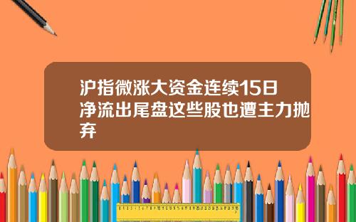 沪指微涨大资金连续15日净流出尾盘这些股也遭主力抛弃