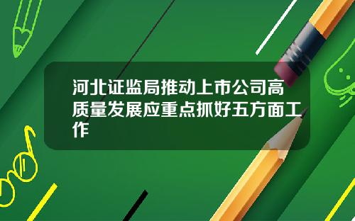 河北证监局推动上市公司高质量发展应重点抓好五方面工作