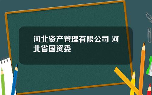 河北资产管理有限公司 河北省国资委