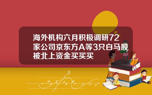 海外机构六月积极调研72家公司京东方A等3只白马股被北上资金买买买