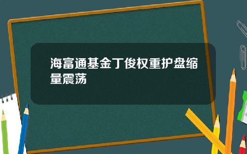 海富通基金丁俊权重护盘缩量震荡
