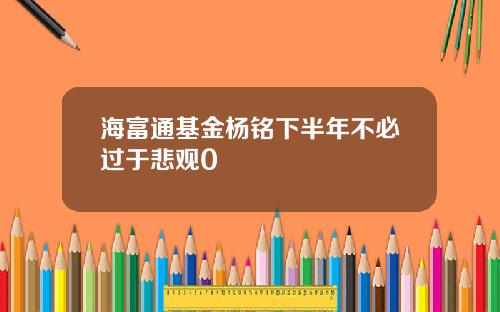 海富通基金杨铭下半年不必过于悲观0