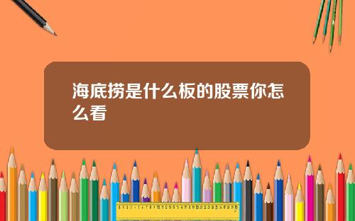 海底捞是什么板的股票你怎么看