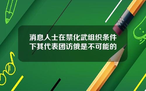 消息人士在禁化武组织条件下其代表团访俄是不可能的