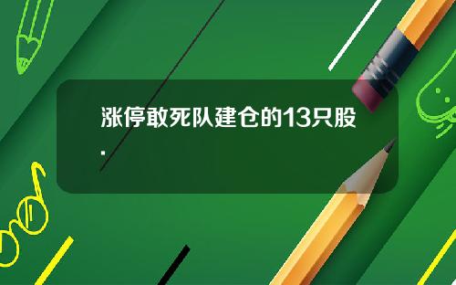 涨停敢死队建仓的13只股.