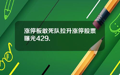 涨停板敢死队拉升涨停股票曝光429.
