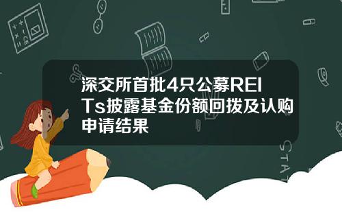 深交所首批4只公募REITs披露基金份额回拨及认购申请结果