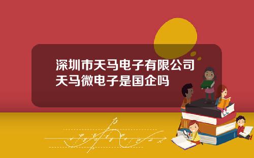 深圳市天马电子有限公司 天马微电子是国企吗