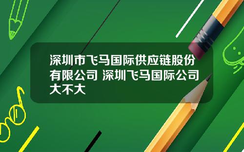 深圳市飞马国际供应链股份有限公司 深圳飞马国际公司大不大