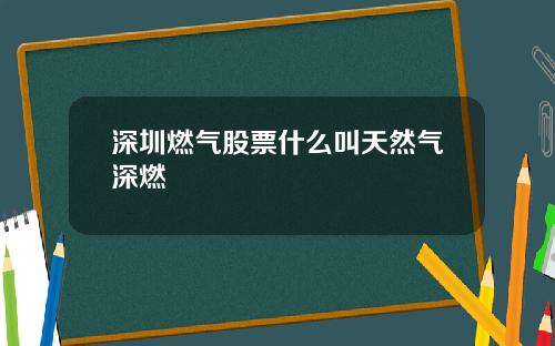 深圳燃气股票什么叫天然气深燃
