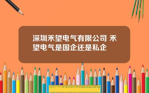 深圳禾望电气有限公司 禾望电气是国企还是私企