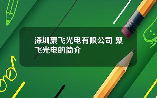 深圳聚飞光电有限公司 聚飞光电的简介